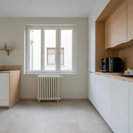 Le Cocon D'emma, Bourgeois Avec Terrasse, Et Parking Gratuit Dans Maison De Maitre Apartment