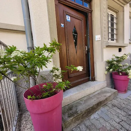 Apartamento Le Cocon D'emma, Climatisé Avec Jardin Et Terrasse Privé, Parking Estrasburgo