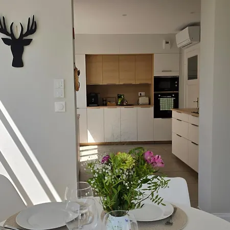 Le Cocon D'emma, Climatise Avec Jardin Et Terrasse Prive, Parking 斯特拉斯堡