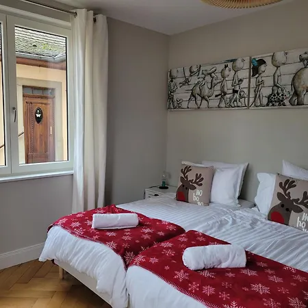 公寓 Le Cocon D'emma, Climatise Avec Jardin Et Terrasse Prive, Parking 斯特拉斯堡