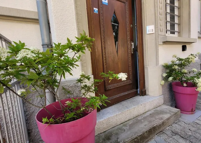 Apartament Le Cocon D'Emma, Appartement Avec Jardin Et Terrasse Prive, Clim, 2 Chambres Strasburg